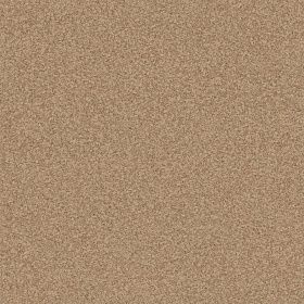 Линолеум Profi Premium AS коммерческий NEVADA 1